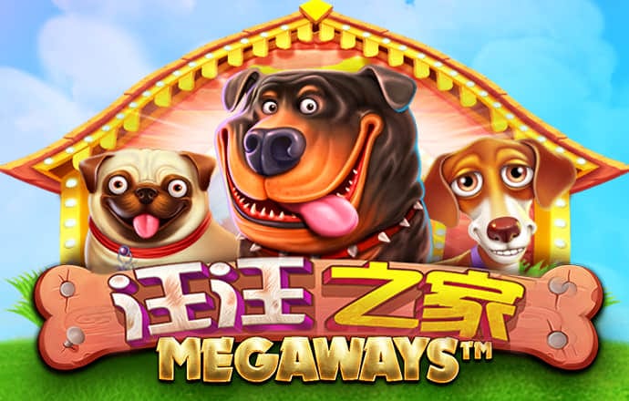 6163银河官网
