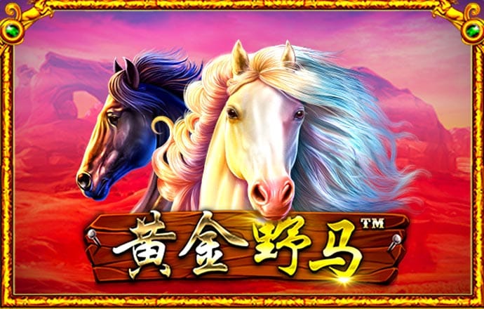 bc体育平台登录入口